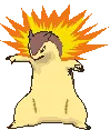 typhlosionshiny typhlosionshiny
