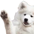 DogWave4