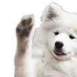 DogWave2