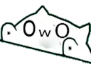 bcBongoOwO
