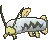 barboachshiny