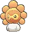 castformsunnyshiny