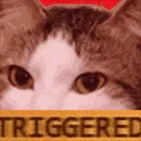 KatTriggered KatTriggered