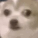 bigconcern