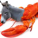 lonsterdonkey
