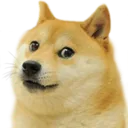 ledoge ledoge