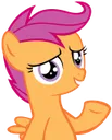 scootaplease