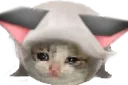 feelsmartialman