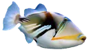 Reefer