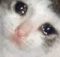 sad