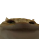 frem4