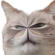 betoplode betoplode