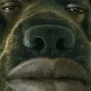 dsNeutralDogMan