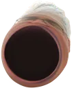 MenOmega MenOmega
