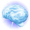 BigBrain BigBrain