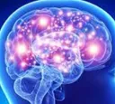 CosmicBrain