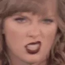 taygrr Discord Emoji