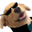 Woweez