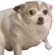 smolconc3rn smolconc3rn
