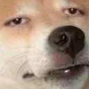 bruhhh