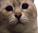 aw Discord emoji