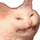vibrECHtion