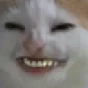 nyeh nyeh