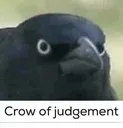 crowofjudgment