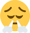 pensive_triumph