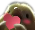 birblove birblove