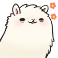 alpacaflowers