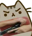 pusheenGun