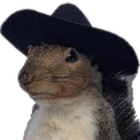 squirrelhat squirrelhat