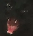 REEEEEEEEE