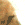 :zaliponPEPESTAN9: Discord Emote