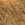 :zaliponPEPESTAN17: Discord Emote