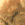 :zaliponPEPESTAN8: Discord Emote