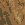 :zaliponPEPESTAN21: Discord Emote