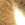 :zaliponPEPESTAN13: Discord Emote