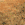 :zaliponPEPESTAN16: Discord Emote