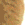 :zaliponPEPESTAN23: Discord Emote