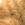 :zaliponPEPESTAN12: Discord Emote