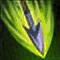bombard bombard