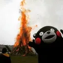 kumamon