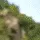 CrabRave38