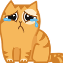 :PepestanPersikCatCrying: Discord Emote