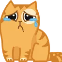 PepestanPersikCatCrying Discord Emoji