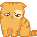 :PepestanPersikCatSad: Discord Emote