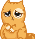 :PepestanPersikCatPlease: Discord Emote