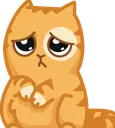 PepestanPersikCatPlease PepestanPersikCatPlease